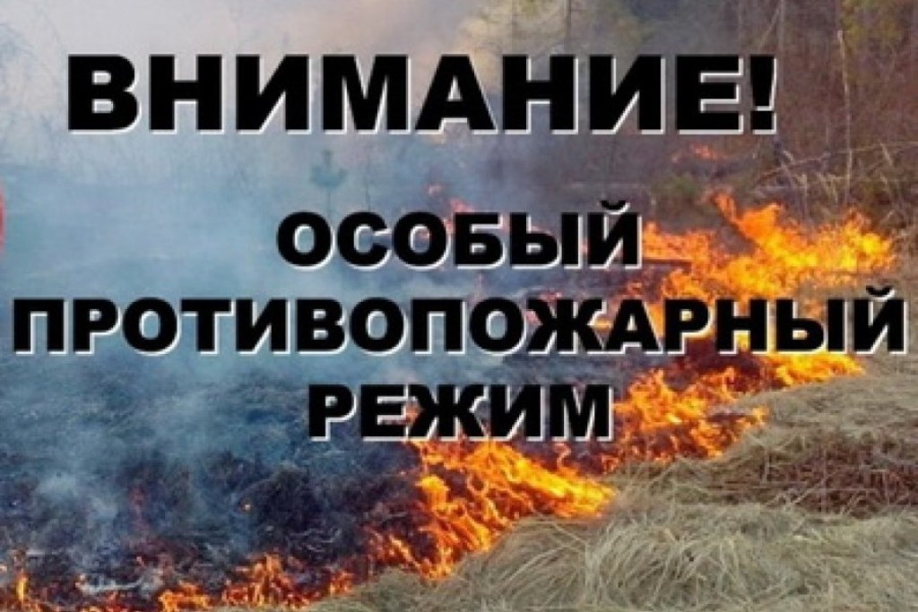 На территории автономного округа с начала года произошло 25 ландшафтных пожаров по причине неосторожного обращения с огнем (24 случая), детской шалости (1 случай)..